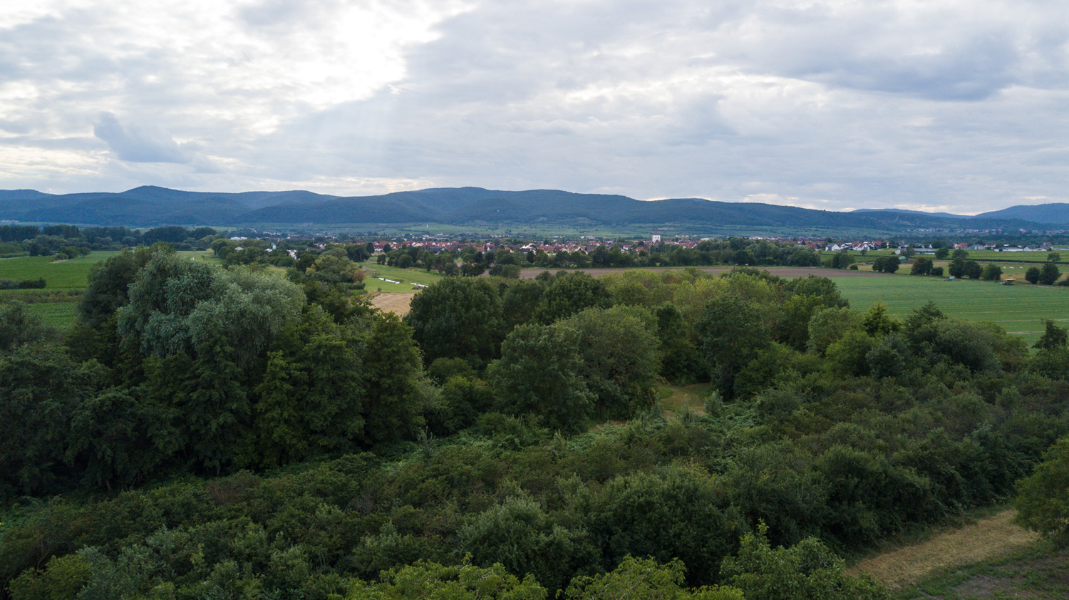 Drohennaufnahem von Niederkirchen zwischen Wald und Reben